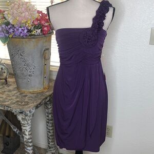 NEW Enfocus One Shoulder Dress NWT